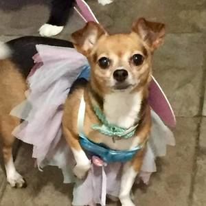 Meet your Posher, Linda